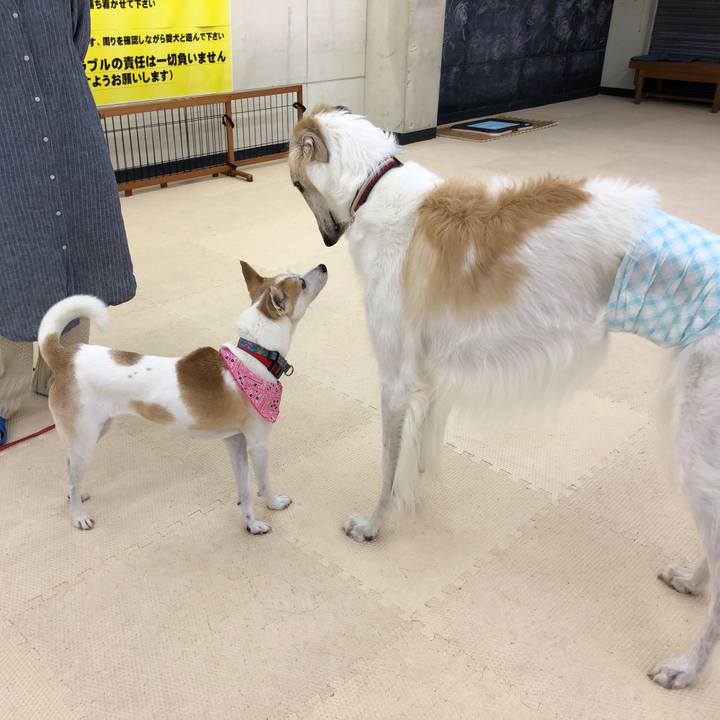 B9ada97b 7e92 431c ad5f 758f9293a32d 1601202108654