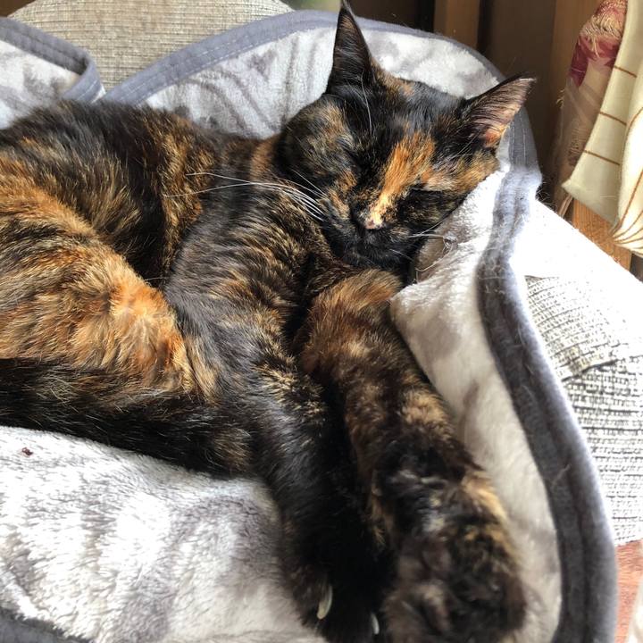 B9adaa4f 1ea6 42de b081 9e69939e5488 1616655009578