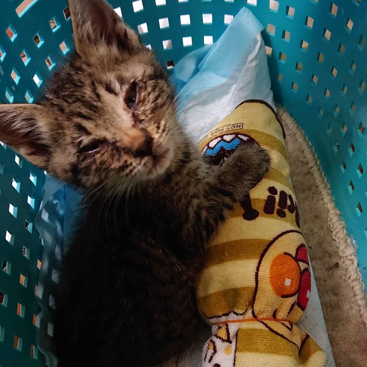 B9adb632 051e 4a82 ad50 74ff4f2b0342 1558097370957