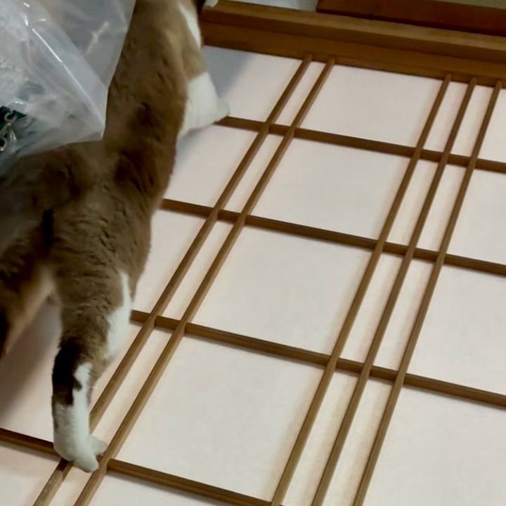 B9adc564 a617 4d57 ae35 2e0d00b55125 1766234119993