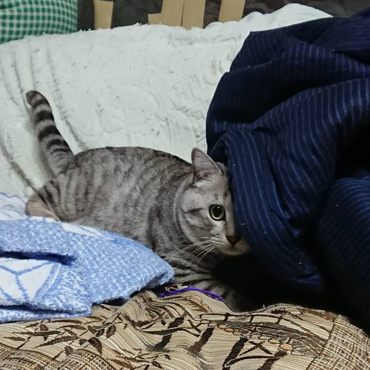 B9adeb3f a5e8 4f40 981d fb284bc7d910 1516585234046