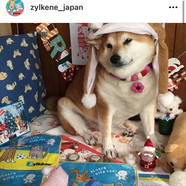 B9adfdf8 7c43 46fe 9de1 90dc7f0ad7f1 1641343580548