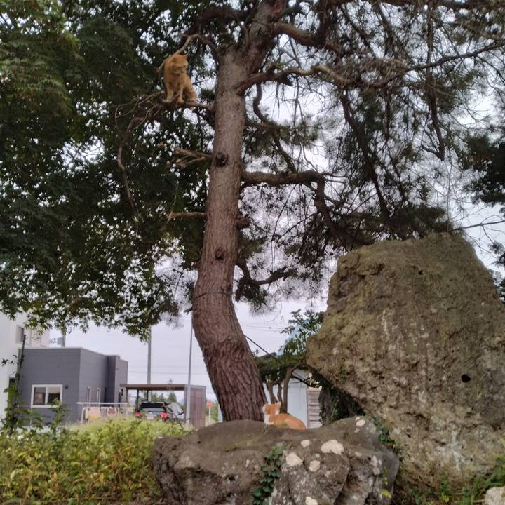 B9ae0bf2 c56e 49a2 af35 eae4e4428404 1727909393842