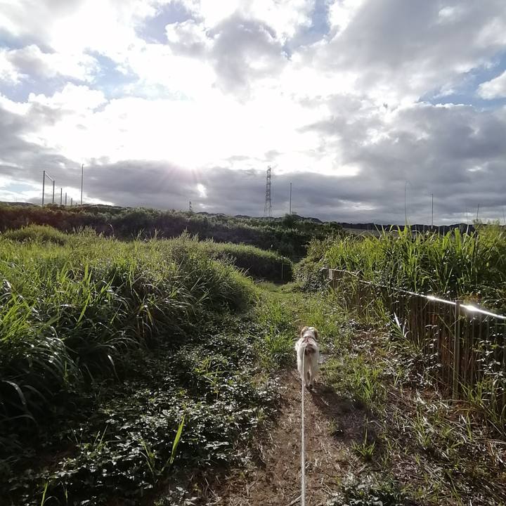 B9ae11d4 4af4 4094 a14b 97d10f200eef 1600049730625