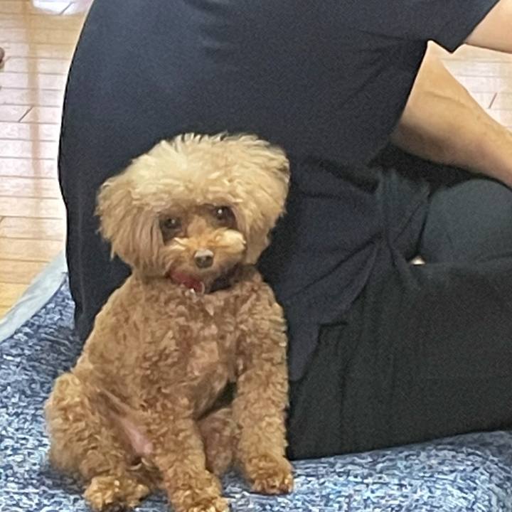 B9ae1270 3c85 4833 bf54 7d8f9427e3e5 1631400761373