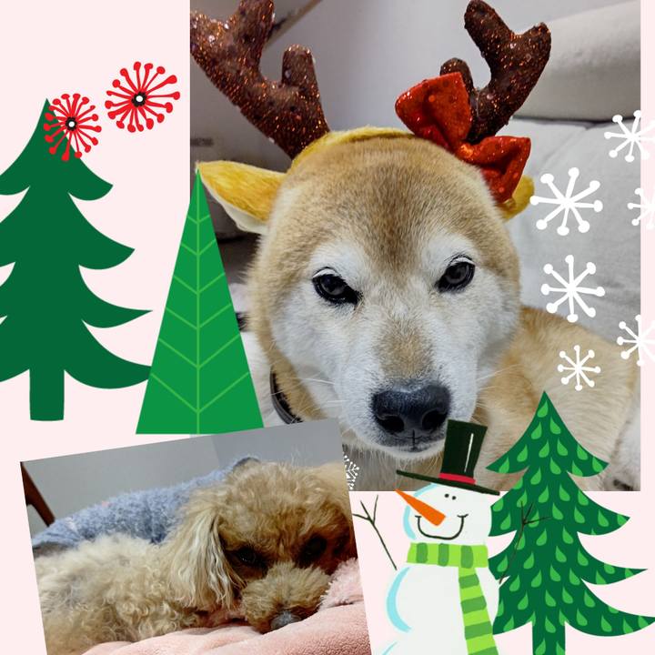 B9ae1fac 14b2 4a54 93d0 3d38c32a38b7 1640437934684