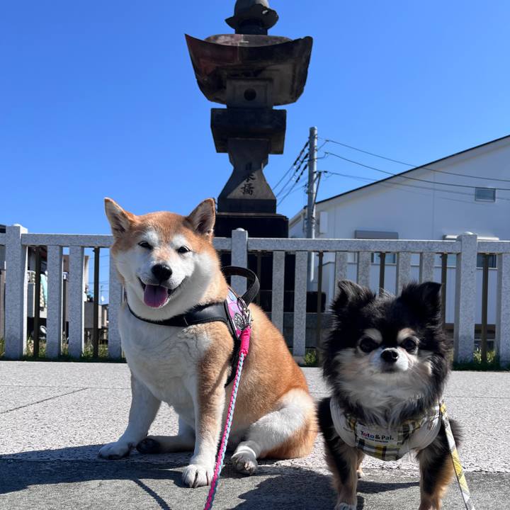 B9ae8c07 dab0 4d4a bfe5 76e70663bca8 1710398209454