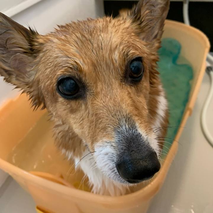 B9aed453 acc2 4879 befe fefce81b5a66 1681203520382