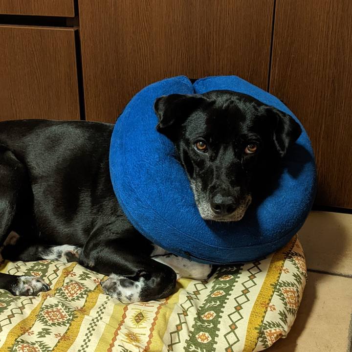 B9aee103 cf15 40ff ac7a c64badaefe8b 1661125256102