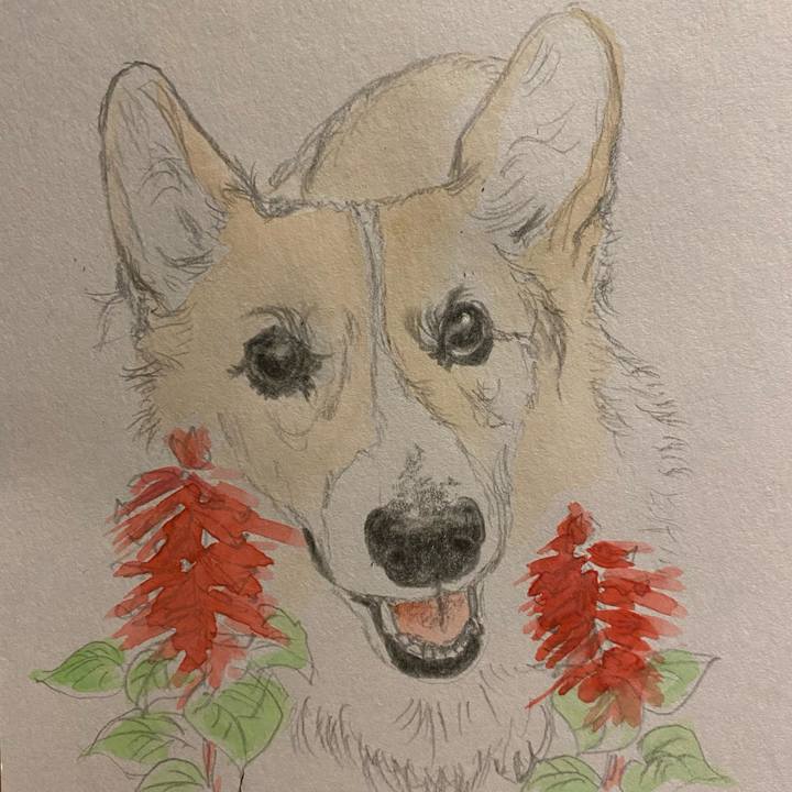 B9aef5ab d287 41ca ae3e a87833f24c40 1664890519848