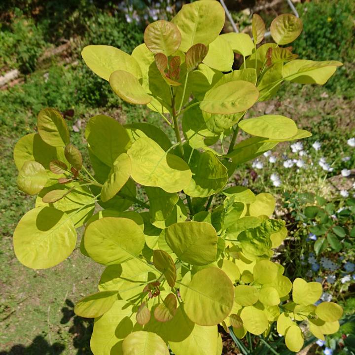 B9af0519 110b 4994 9c47 3d3e238dd5ec 1524365073244