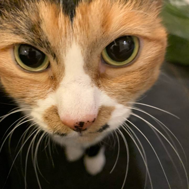 B9af3a1a d6ae 48cd af0b d9a076629818 1731019338969