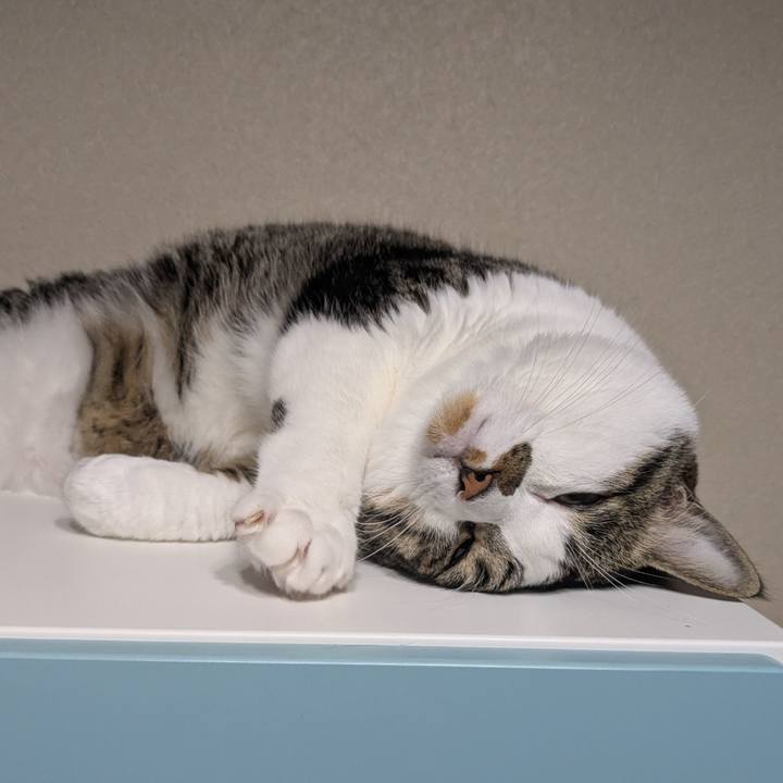 B9af551a eba7 4721 b84f 246f6752eafb 1754478542526