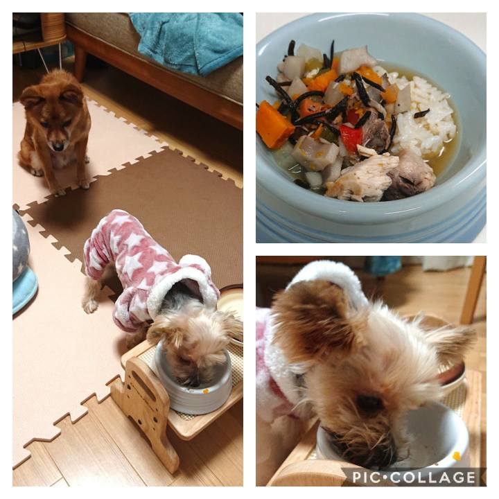 B9af55e1 3425 4dd0 86b0 b76f9c2c625e 1577743112802