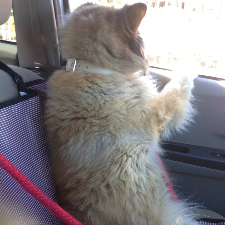 B9afb66c 5fef 45a7 9449 c398e24a395d 1660057982327