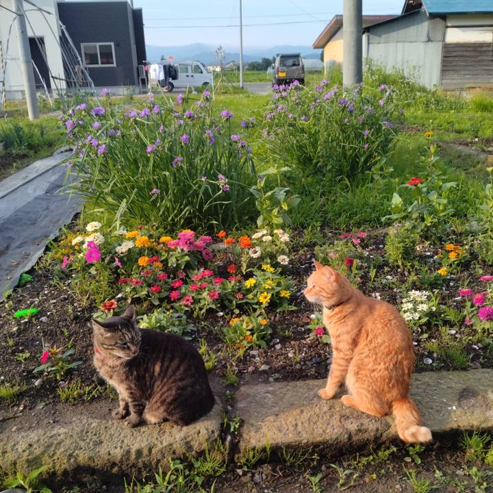 B9afc0fb d74f 4349 a7fd 3179dae0d0f9 1686952307858