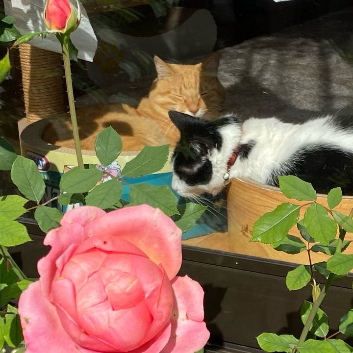 B9afe9d3 1b8a 40cc b358 5ae83442a735 1603782125696