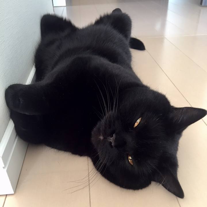 B9aff080 7892 40bc adb8 7d5843bded7c 1558513634738