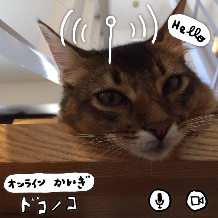 B9aff23d 681c 4862 abd4 e4ad59ef5794 1590713149297