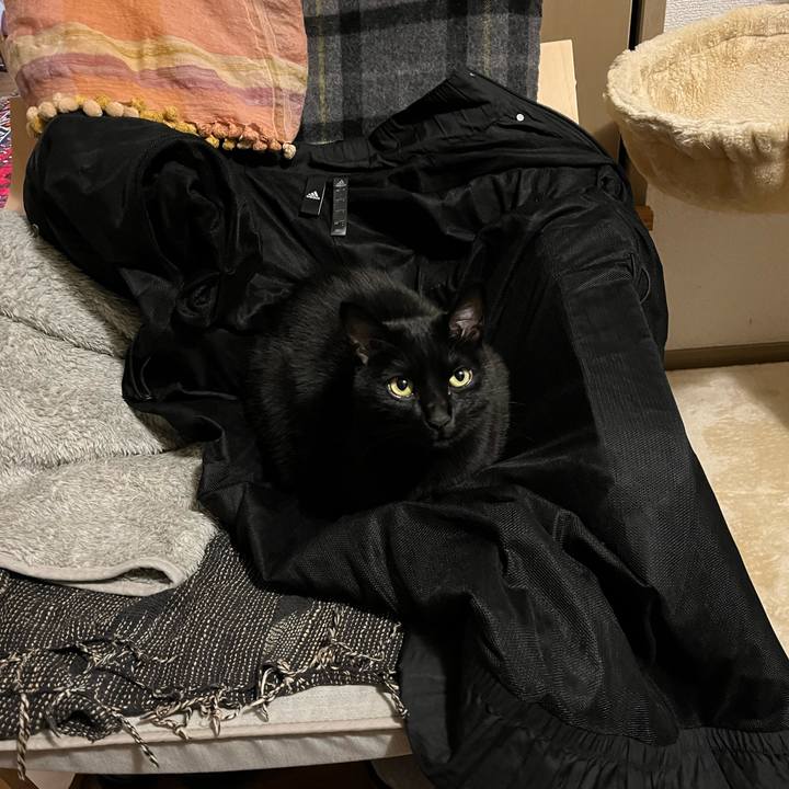 B9b01e57 00f7 4bb5 b6eb bb015b17f544 1702462864532