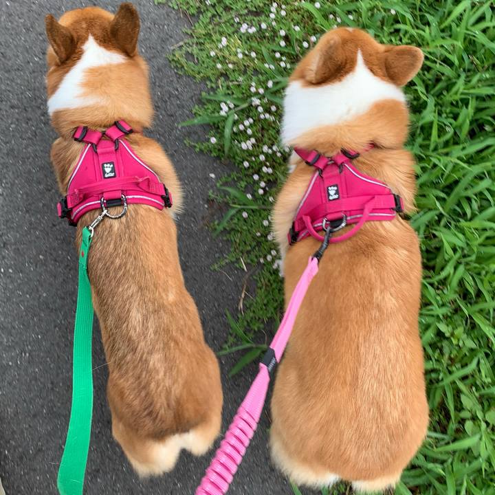 B9b07ec6 e0da 480f ba67 948de65c68ee 1628465393520