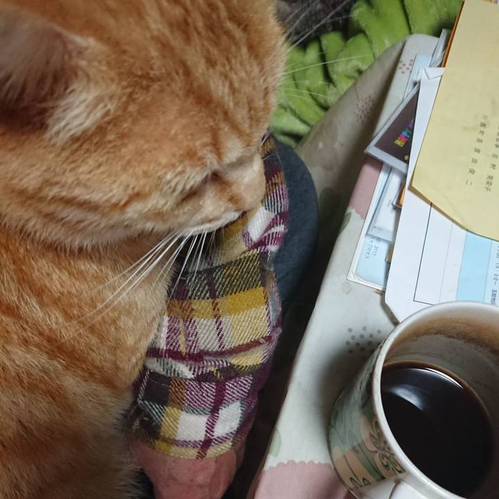 B9b09dc5 675a 40ea 93c2 0bbc6a2dbbb3 1587934161697