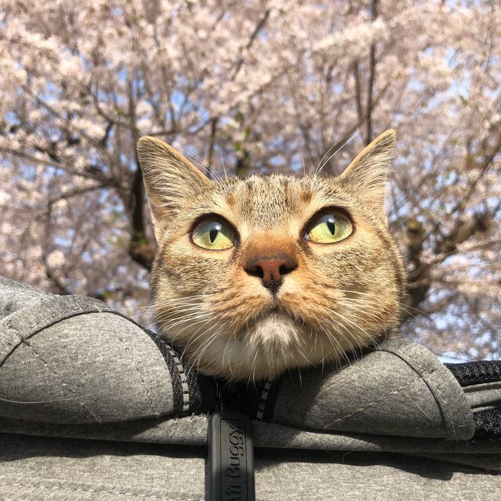 B9b0bbf4 769f 44fc b396 f1ddd1784e13 1648887047740