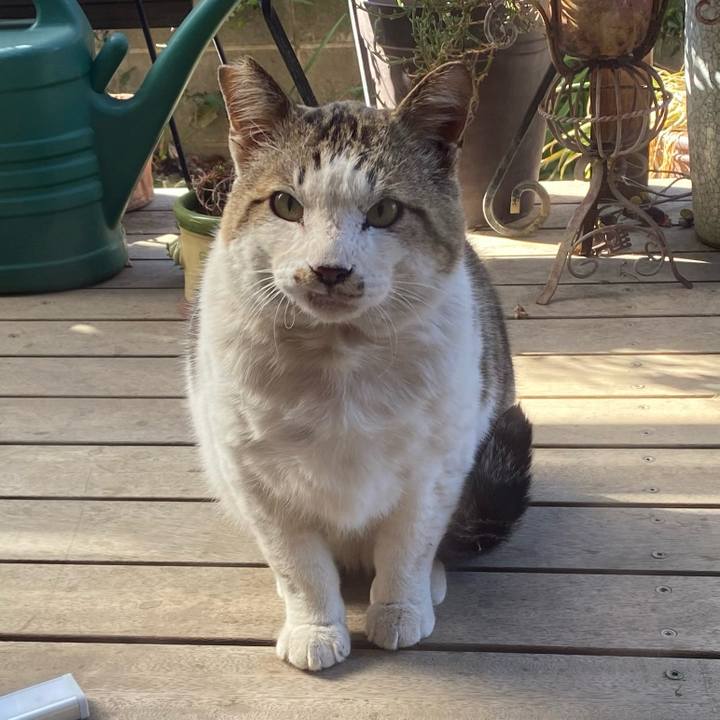 B9b1000c dfef 4ec7 9f93 65271659f1b4 1645746687936