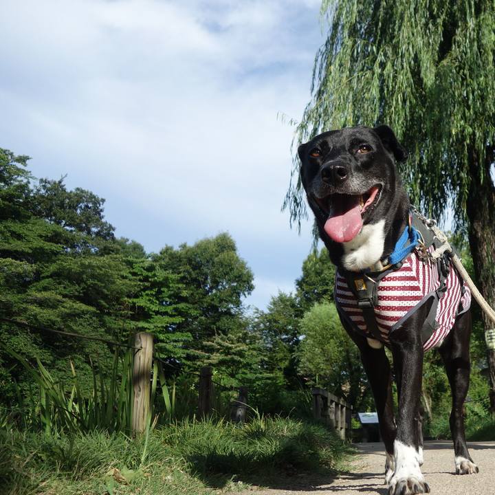 B9b102a7 0452 46c5 afa9 93bfe66c6eb7 1660177454918