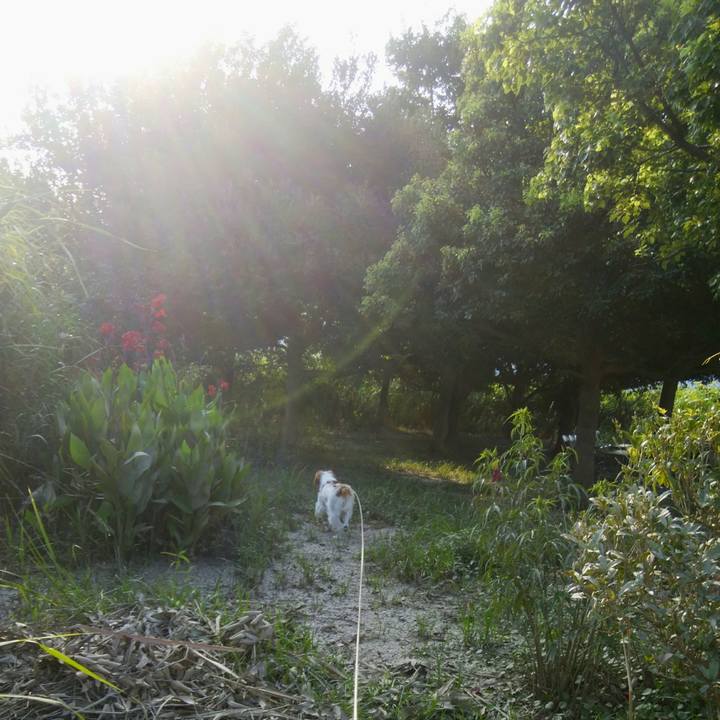 B9b12a7c 4202 4c75 a2d3 b079643bd3fb 1533631974592