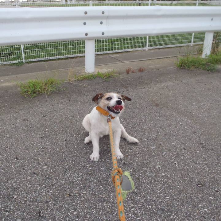 B9b14c53 5e5e 4ffb aeb1 63fecb8c6230 1535281556725