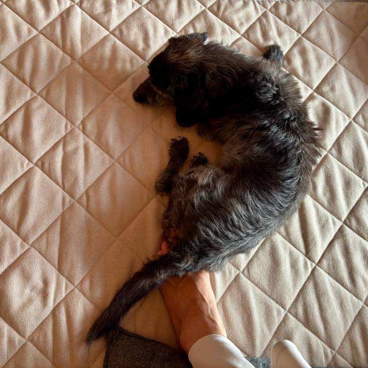 B9b14f9e 972f 4040 9904 d0aec21eb0ec 1759447861726