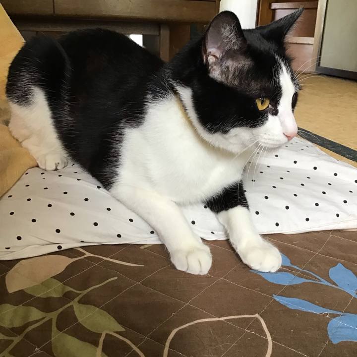 B9b16559 9dfd 4def aade 57f108d9c31d 1653203725432