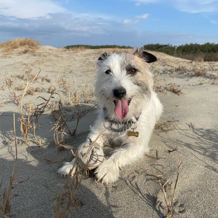 B9b16852 5384 485e b9be ef61ac7735b4 1673512256772