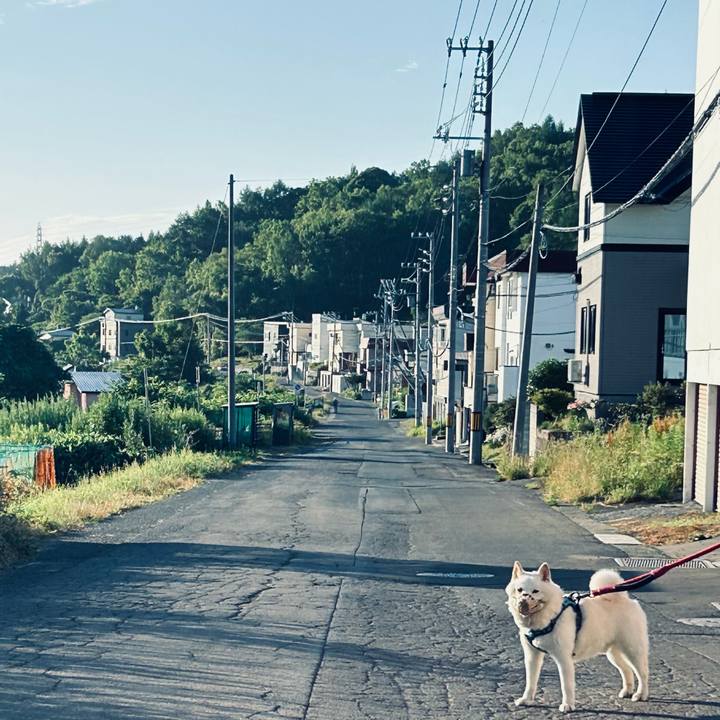 B9b1f833 abb1 4d65 ad98 a22b484e787d 1752096203498