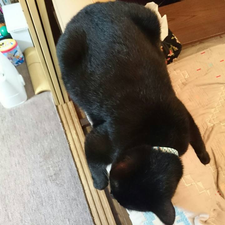 B9b20d84 3142 40b1 b697 3548dc674f11 1534809037910