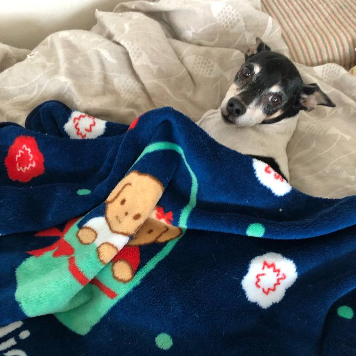 B9b23234 04a0 48b5 b741 149bfca31274 1543237629350