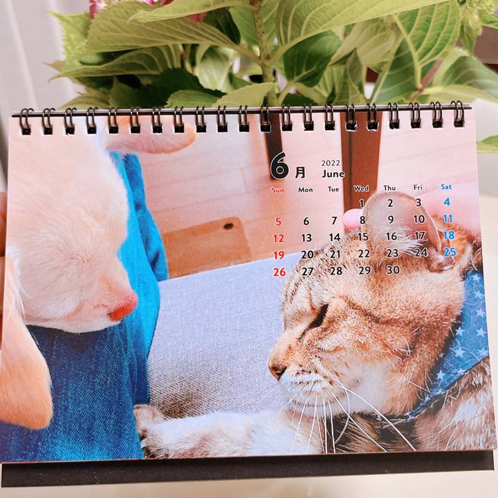 B9b2639d 7662 4a9d 80be a0c3a30ecc78 1654309597939