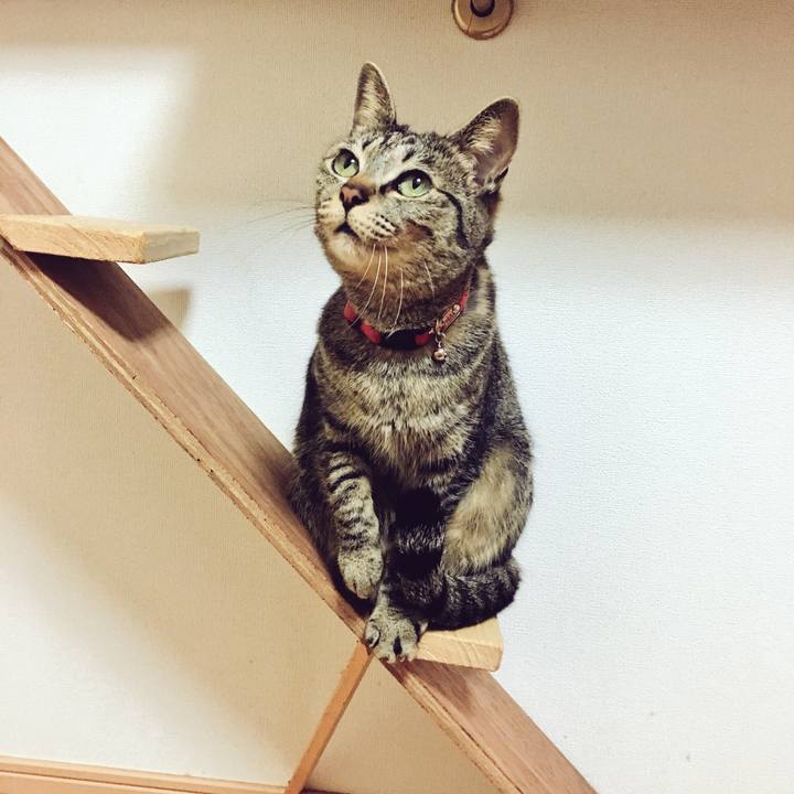 B9b27876 fca7 48b2 bc99 c9c11b6c60b1 1521763994623