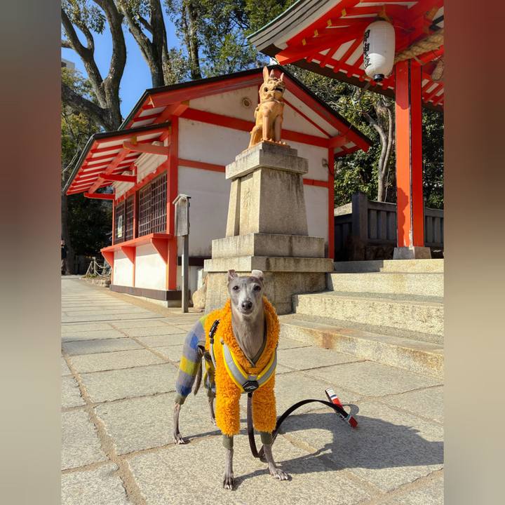 B9b2b7f4 0ad3 4694 9b4e 62894453a733 1769509476380