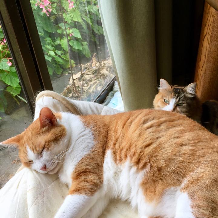 B9b2c2a6 ee69 4460 8c7d e67714da4ae4 1567394793155