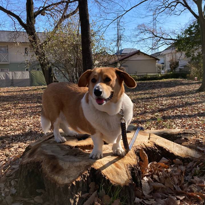 B9b2e36d 01c2 4cf9 8542 343153dbb5cb 1673427398545