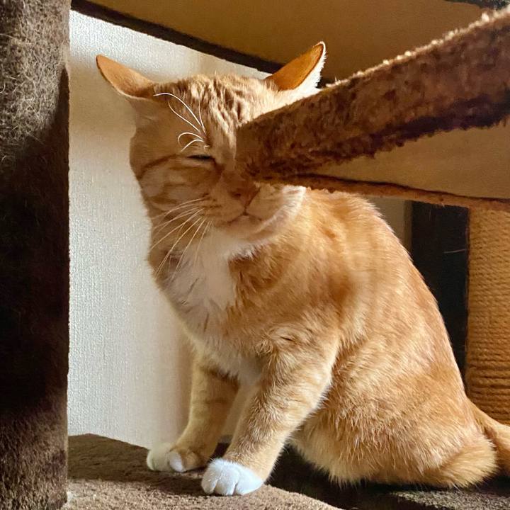 B9b312b6 87e7 4569 b138 f3c995965ef9 1767138269901