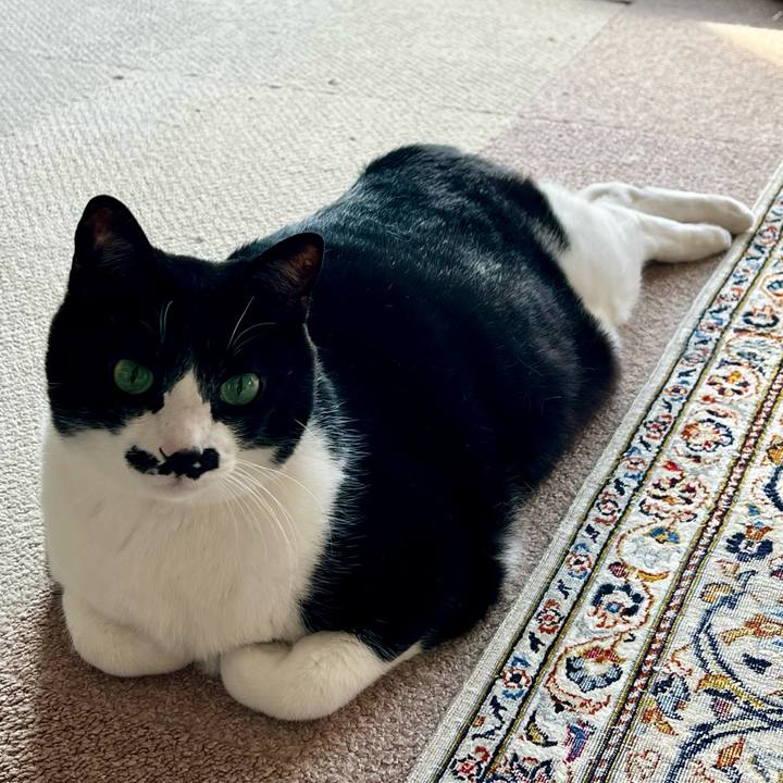 B9b32f74 7fb7 4924 8b6c 94cb9e433c97 1773700225106