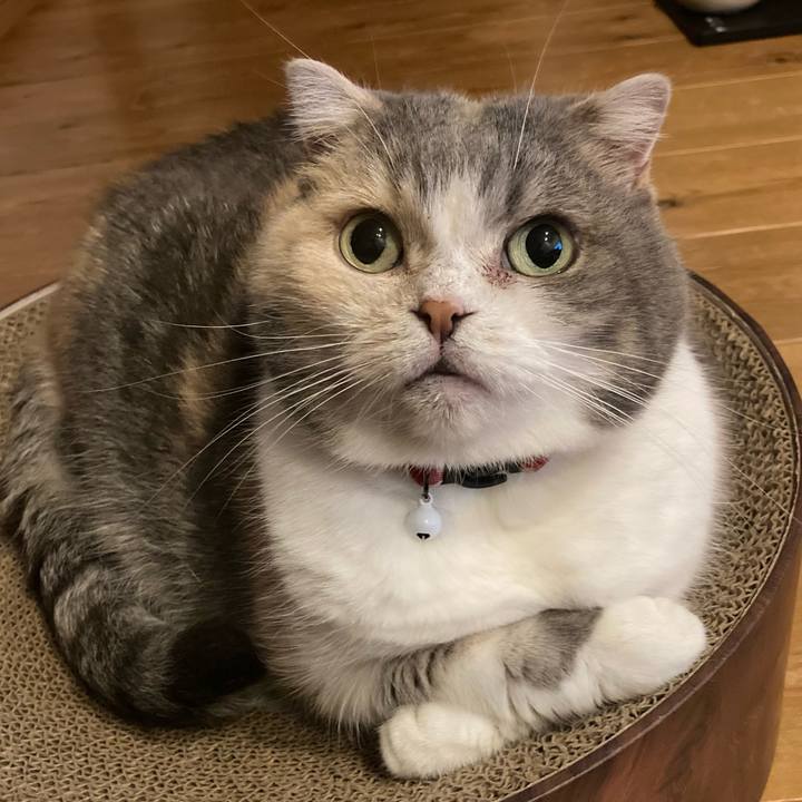 B9b35419 83e7 49f4 b3ae 8f32588a4f5b 1732262555810