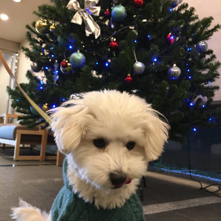 B9b35b42 4e13 4f1f a990 b92d77b84bad 1545629531177