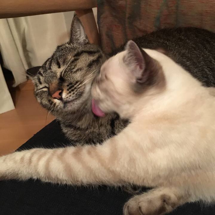 B9b371da 09e8 46c3 adc6 cc54d542152a 1541589460203