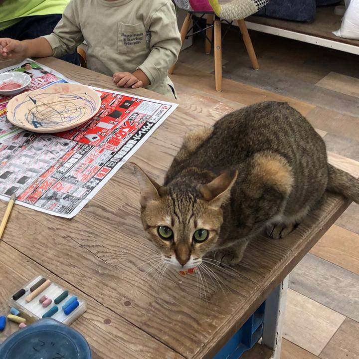 B9b3954f e52d 4fab 992d 840bfa186156 1665216280812