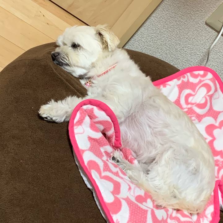 B9b3ba48 e6b4 4c33 b70b b410770f76da 1604574049391