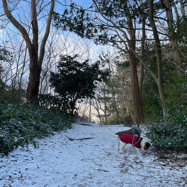 B9b3ca55 fbec 4b83 8347 2b2e7e0f2571 1642117407291